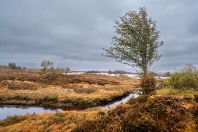 Automne
